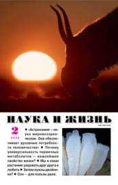 Наука и жизнь №02\/2023