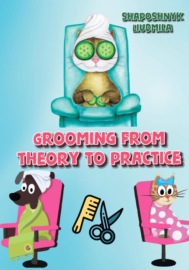 Grooming from theory to practice