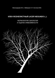 Клен ясенелистный (Acer negundo L.): морфология, биология и оценка инвазивности
