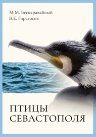 Птицы Севастополя