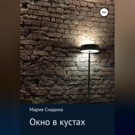 Окно в кустах