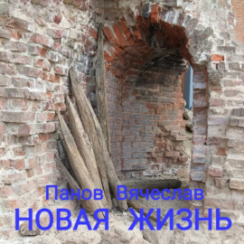 Новая жизнь