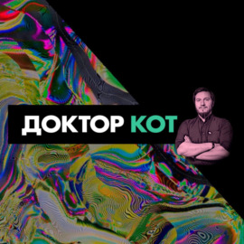 Доктор Кот