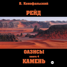 Рейд. Оазисы. Книга 4. Камень