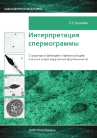 Интерпретация спермограммы. Структура и функция сперматозоидов в норме и при нарушении фертильности