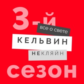 Без тени нет света. Наталья Шальнева