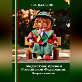 Бюджетное право в Российской Федерации. Вопросы и ответы