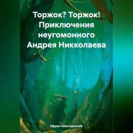 Торжок? Торжок! Приключения неугомонного Андрея Никколаева