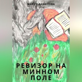 Ревизор на минном поле