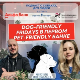 Первый pet-friendly банк в России. Альфа-Банк