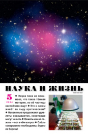 Наука и жизнь №05\/2024