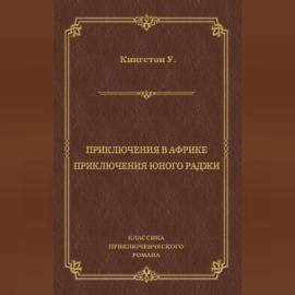 Приключения в Африке. Приключения юного раджи (сборник)