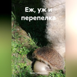 Еж, уж и перепелка