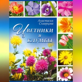 Цветники и клумбы