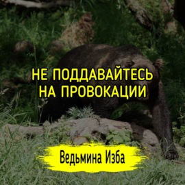 НЕ ПОДДАВАЙТЕСЬ НА ПРОВОКАЦИИ. #ВЕДЬМИНАИЗБА  #МАГИЯ