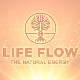 LifeFlow