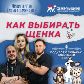 Ветеринарные критерии выбора щенка