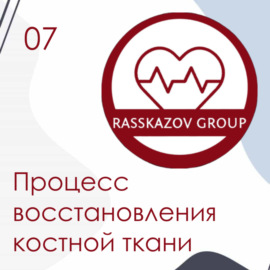 Процесс восстановления костной ткани. \/ Rasskazov Group