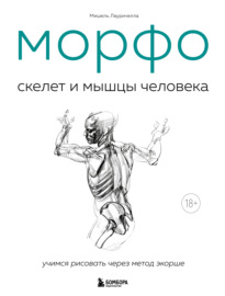 МОРФО. Скелет и мышцы человека. Анатомия для художников