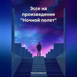 Эссе на произведение «Ночной полет»