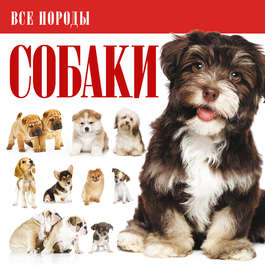 Собаки