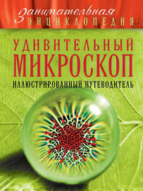 Удивительный микроскоп. Иллюстрированный путеводитель