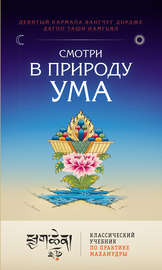 Смотри в природу ума. Классический учебник по практике Махамудры