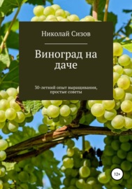 Как вырастить виноград на даче в Средней полосе России
