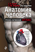 Анатомия человека. Русско-латинский атлас