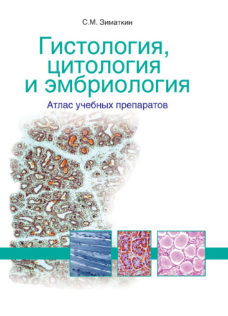 Гистология, цитология и эмбриология: атлас учебных препаратов