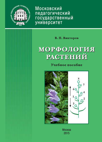 Морфология растений
