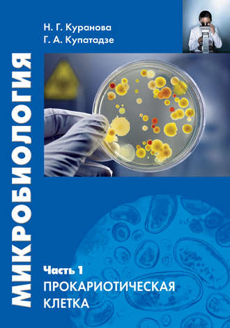 Микробиология. Часть 1. Прокариотическая клетка