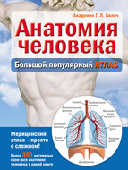 Анатомия человека. Большой популярный атлас