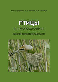 Птицы Приморского края: краткий фаунистический обзор