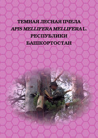 Темная лесная пчела (Apis mellifera mellifera L.) Республики Башкортостан