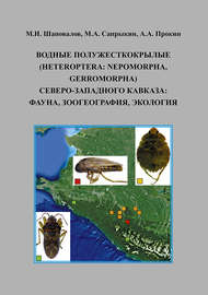 Водные полужесткокрылые (Heteroptera: Nepomorpha, Gerromorpha) Северо-Западного Кавказа: фауна, зоогеография, экология