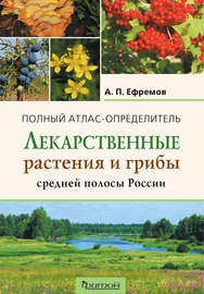 Лекарственные растения и грибы средней полосы России