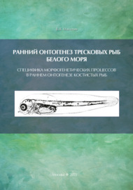 Ранний онтогенез тресковых рыб Белого моря. Специфика морфогенетических процессов в раннем онтогенезе костистых рыб (на примере развития тресковых)