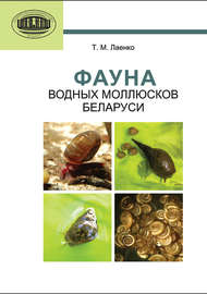 Фауна водных моллюсков Беларуси