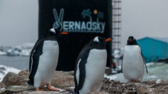 Сколько пингвинов в Антарктике? - 06 июня, 2021