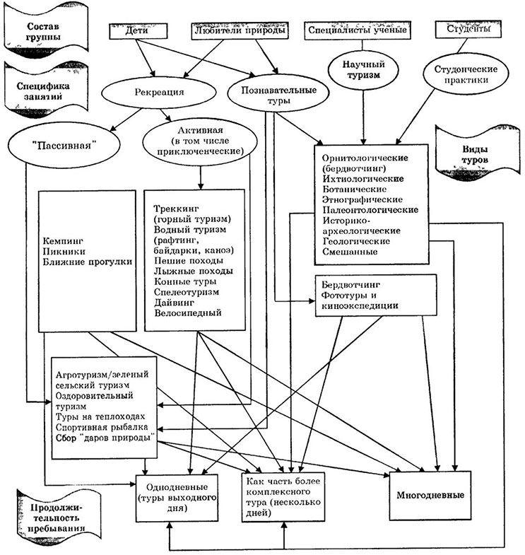 Схема туризма. Классификация видов экотуризма. Классификация экологического туризма. Виды экологического туризма схема. Подвиды экологического туризма.