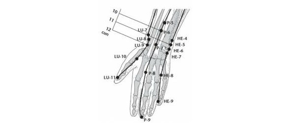 Точка p внутри. Gi 15 точка акупунктуры. P1 точка акупунктуры. Ян си точка акупунктуры. Акупунктурная точка Шан Ян.