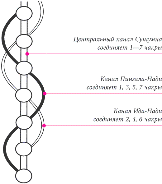 Чактр