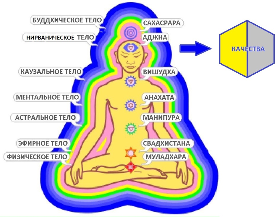 Схема тонких тел человека