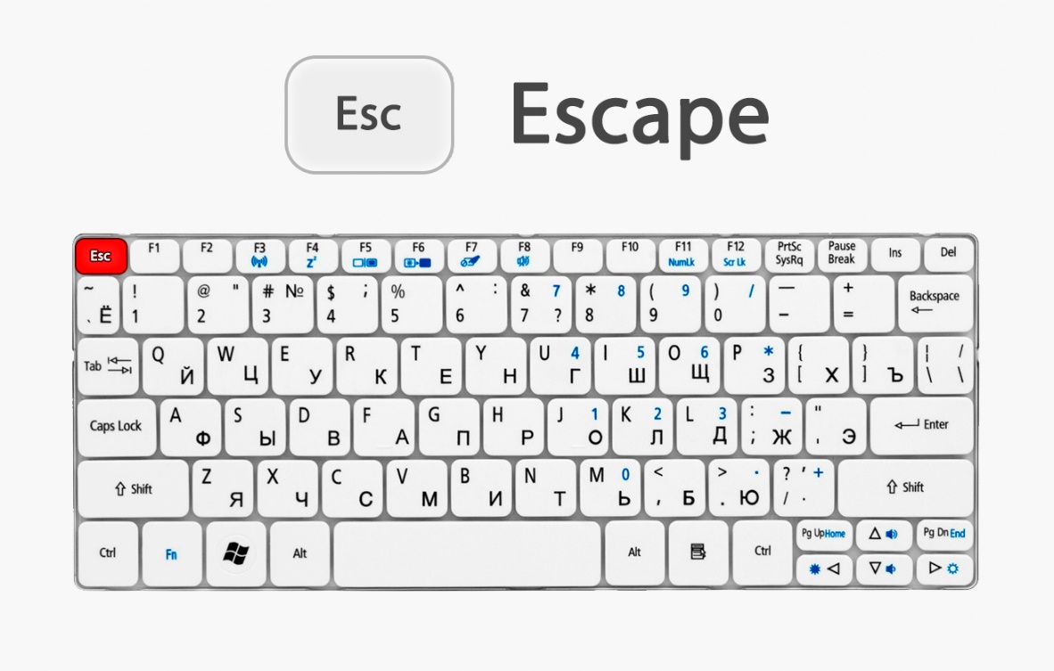 Клавиатура простой. Клавиша ESC как читается. Клвиши zxc на клавиатуре тойкийский гуль. Коды клавиатуры ESC 177. Где находится Эскейп на клавиатуре.