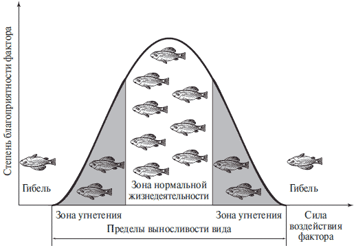 Схема действия экологических факторов